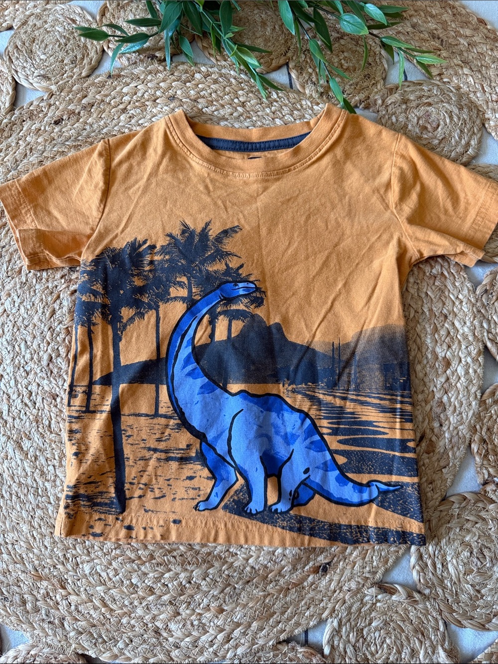 Tea Collection Herbivore Dini 3D 100% Cotton Tee. 4T
